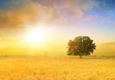 Акционные предложения на июль-август 2024 года