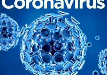 ПЦР РНК коронавирус SARS CoV-2 в нашей лаборатории