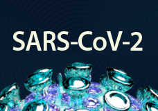 Новый стандарт теста на SARS-CoV-2 (COVID-19)