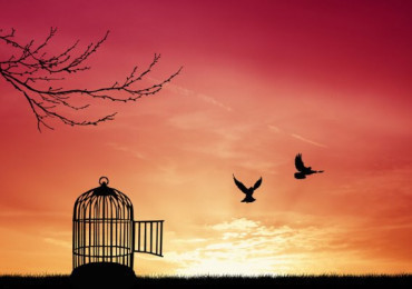 Скасування самоізоляції / обсервації за допомогою нашої лабораторії