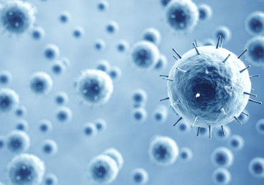 Звертаємо Вашу увагу на нові лабораторні дослідження: